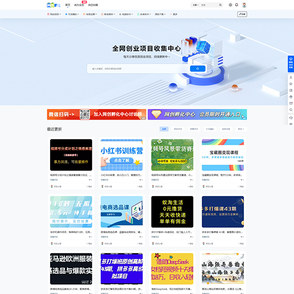 网赚项目资源整站